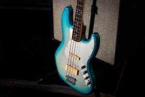blog fender 040